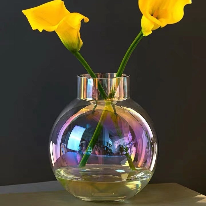 Creative Glass Vase Transparent Hydroponic Flower Dry Flower Vase